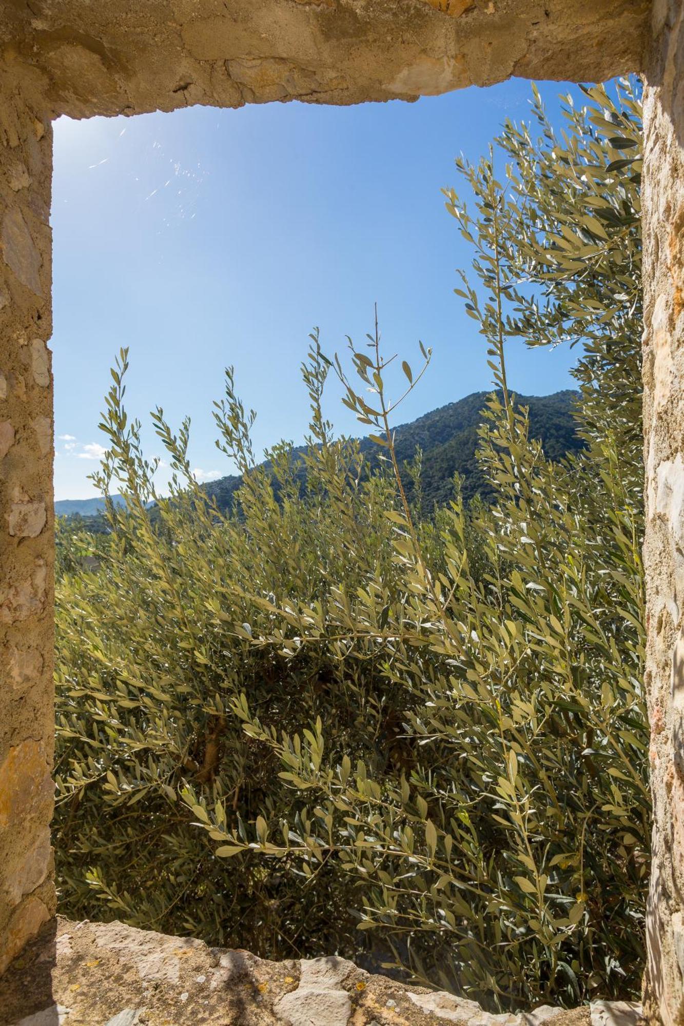 Finca Es Castell بينيبونا المظهر الخارجي الصورة