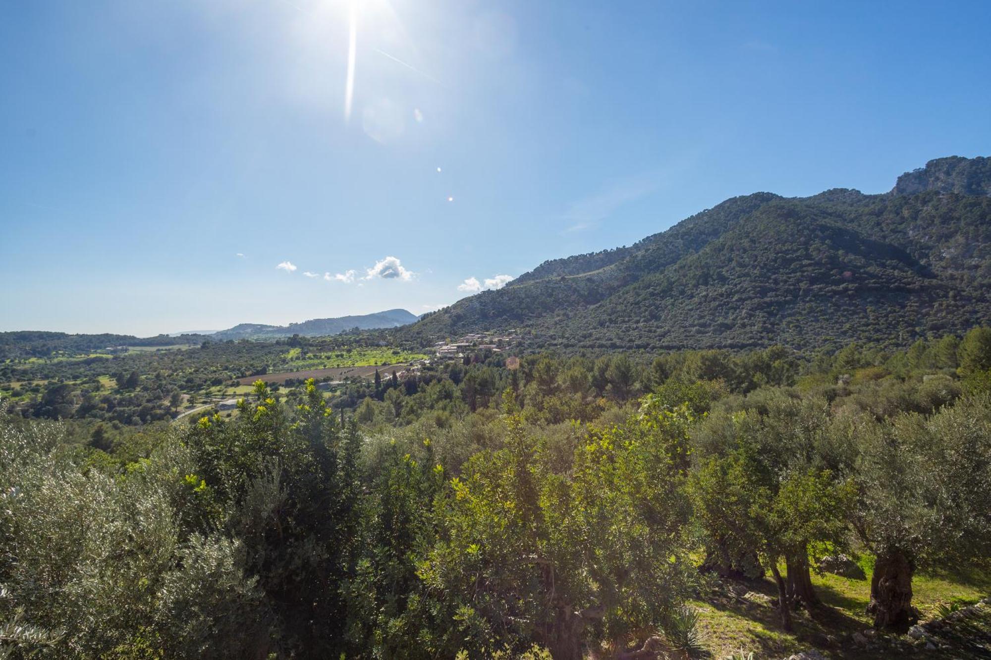 Finca Es Castell بينيبونا المظهر الخارجي الصورة