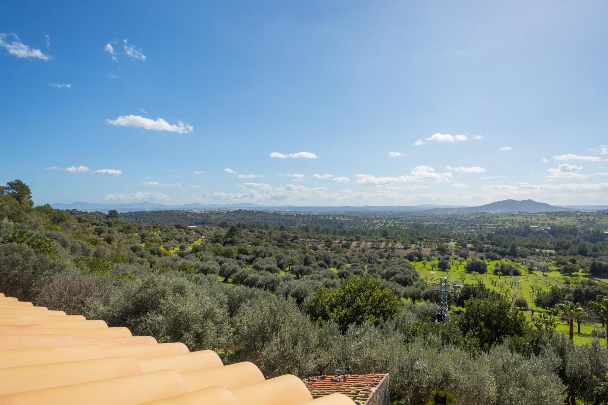 Finca Es Castell بينيبونا المظهر الخارجي الصورة