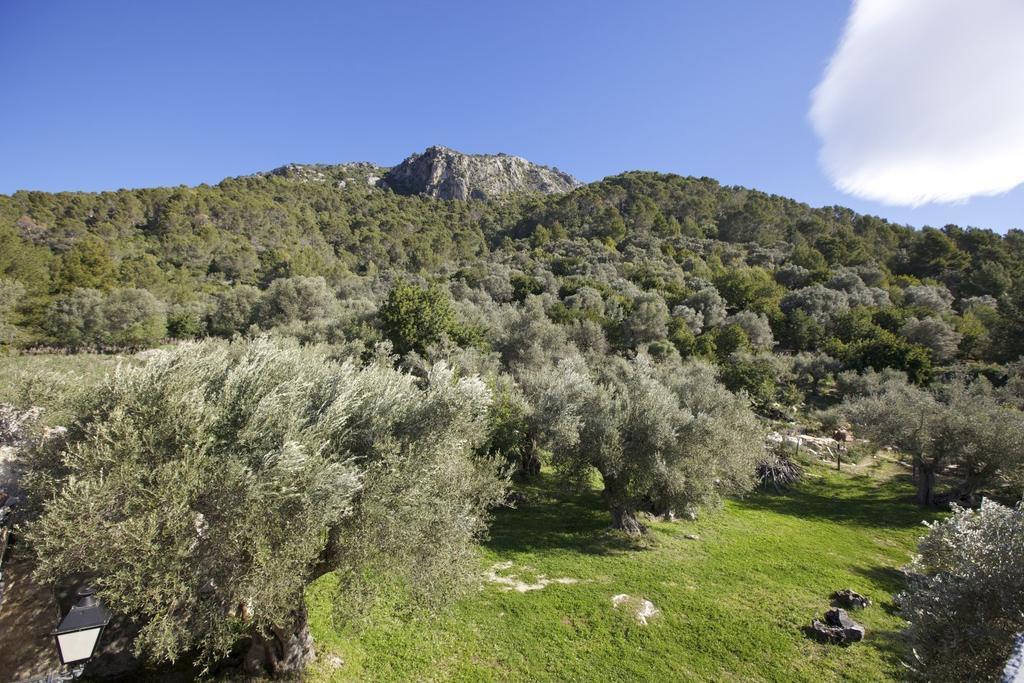 Finca Es Castell بينيبونا المظهر الخارجي الصورة