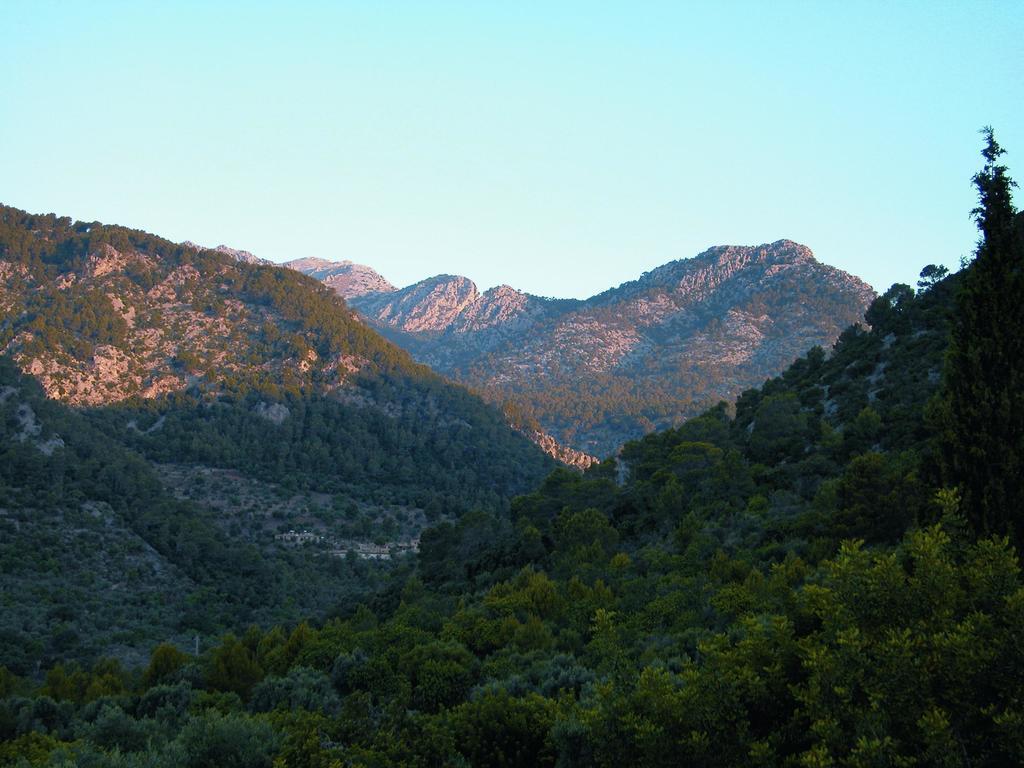 Finca Es Castell بينيبونا المظهر الخارجي الصورة
